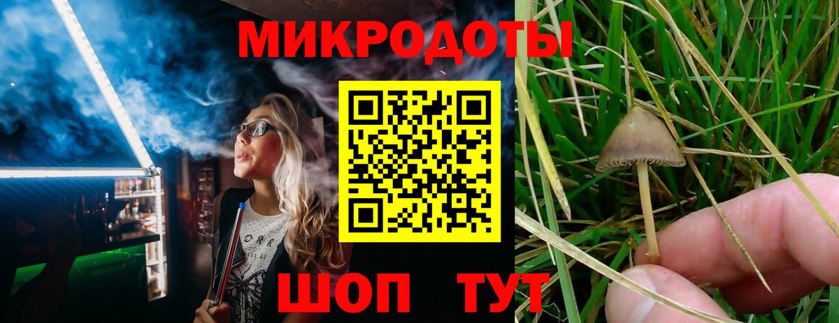 Галлюциногенные грибы прущие грибы  Вход с VPN  Кстово 